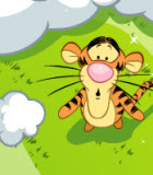 Tigris és a felhők